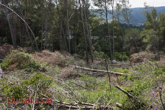 La campanya contra els incendis és presenta complicada