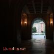El cami de la Llum