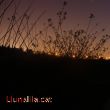 La Natura dormin