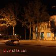 Vida i arquitectura