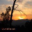 El sol marxa tot deixant una bella imatge