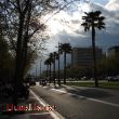 Avinguda Diagonal de tarde