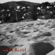 Petites dunes a la Platja