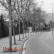 Camins i corbes