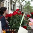 Buscant una rosa