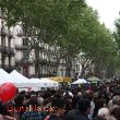 Les Rambles de Barcelona  per Sant Jordi