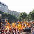 Els colors i les identitats