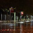 Pluja al passeig