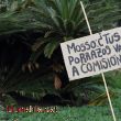 Pancartes 12M15M