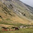 Caminar i gaudir de la natura