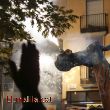 El Camell de Molins de Rei