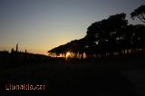 Grans vistes de la Tarda