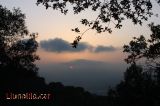 Entre n�vols i arbres 