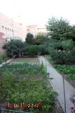 �ltims camps dins de Molins de Rei