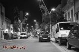 Laure� Mir� i el Nadal