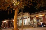 Estaci� de Molins i els arbres
