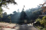 Pant� de Vallvidrera