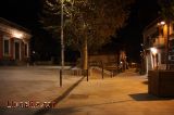 Estaci� Molins i els seus arbres