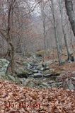 El camí del riu El camí del riu