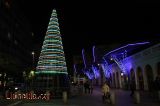 Arbre Interactiu nadalenc Arbre Interactiu nadalenc
