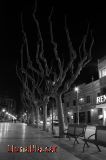 La nit al Passeig del Terrapl� 