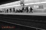 Esperan el Tren a l'Estació Passeig De Gràcia Esperan el Tren a l'Estació Passeig De Gràcia