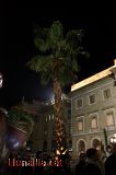 Palmeres a la Plaça Sant Jaume? Palmeres a la Plaça Sant Jaume?