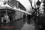 Passeig del Terrapl� amb les Carpes de la Candelera 