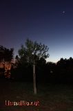 L'arbre que mira l'estrella
