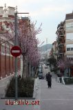 La primavera ja �s fa notar