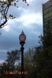 La llum que mira el cel La llum que mira el cel
