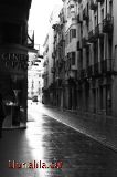 Camins Humits