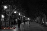 Passejant pel cam� de les llums