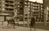Inauguraci� de la nova pla�a del Mol�