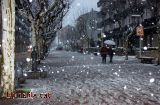 Tot el territori afectat per una nevada