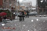 Caminant sota la net
