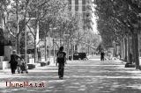 Passejant pel Passeig del Terrapl�