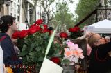Buscant una rosa Buscant una rosa
