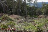 La campanya contra els incendis �s presenta complicada