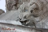 Figueres que treuen la sed