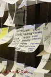 ¿Qué penses? ¿Qué penses?