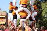 Sagals d'Osona descarregant Sagals d'Osona descarregant
