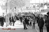Buscan menjar i el sol Buscan menjar i el sol