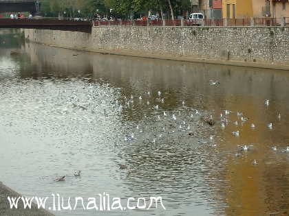 Fotografies Girona
