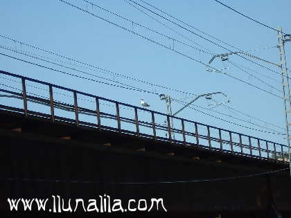 Fotografies Girona