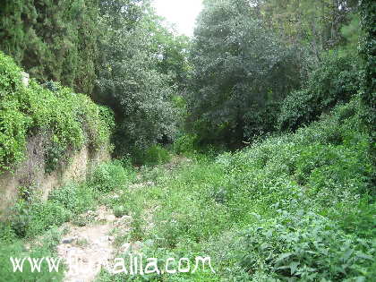 Fotografies Girona