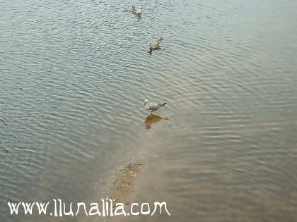 Fotografies Girona